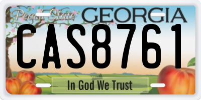 GA license plate CAS8761