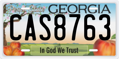 GA license plate CAS8763