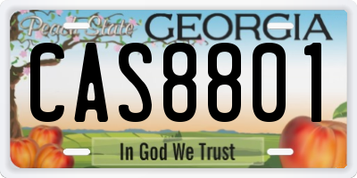 GA license plate CAS8801