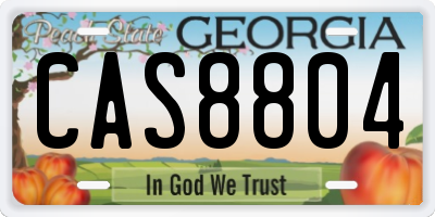 GA license plate CAS8804