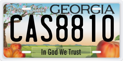 GA license plate CAS8810