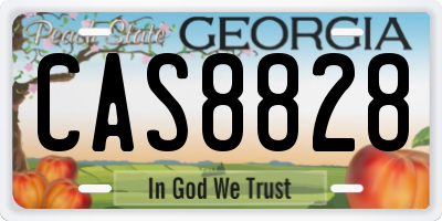 GA license plate CAS8828