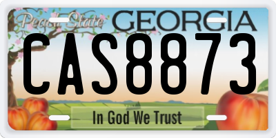 GA license plate CAS8873