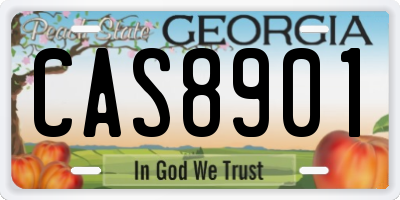 GA license plate CAS8901