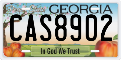 GA license plate CAS8902