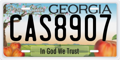 GA license plate CAS8907