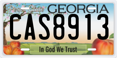 GA license plate CAS8913