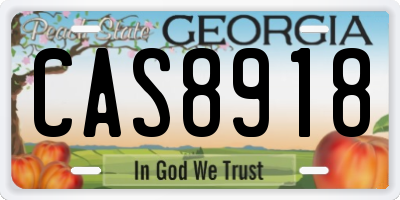 GA license plate CAS8918