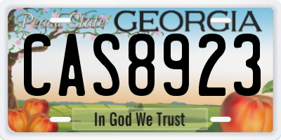 GA license plate CAS8923