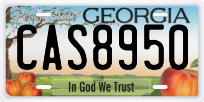 GA license plate CAS8950