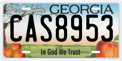 GA license plate CAS8953
