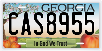 GA license plate CAS8955