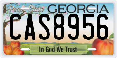 GA license plate CAS8956
