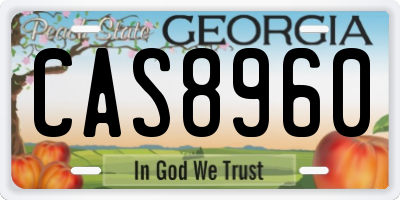 GA license plate CAS8960
