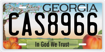 GA license plate CAS8966