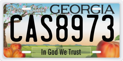GA license plate CAS8973