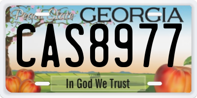 GA license plate CAS8977