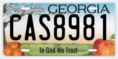 GA license plate CAS8981