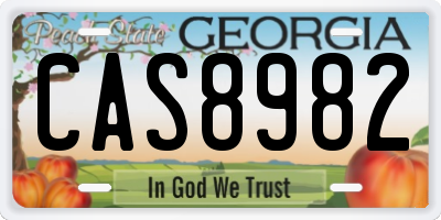 GA license plate CAS8982