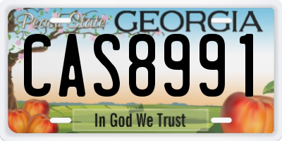 GA license plate CAS8991