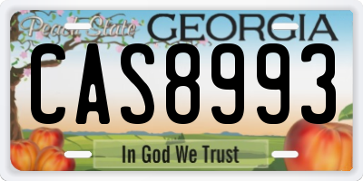 GA license plate CAS8993