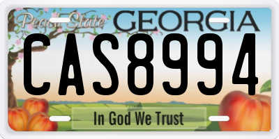 GA license plate CAS8994