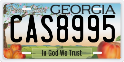 GA license plate CAS8995