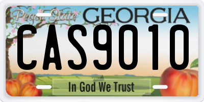 GA license plate CAS9010