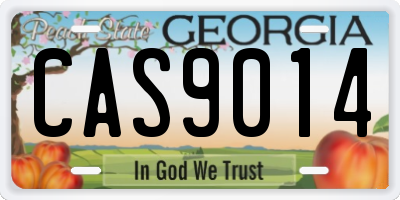 GA license plate CAS9014