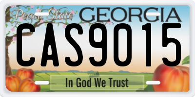 GA license plate CAS9015