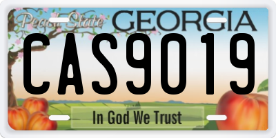 GA license plate CAS9019