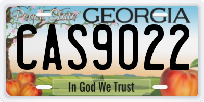 GA license plate CAS9022