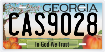 GA license plate CAS9028