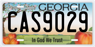 GA license plate CAS9029