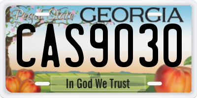 GA license plate CAS9030