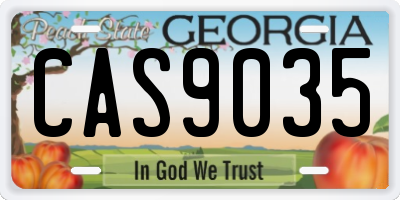 GA license plate CAS9035
