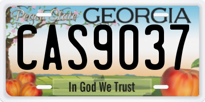 GA license plate CAS9037
