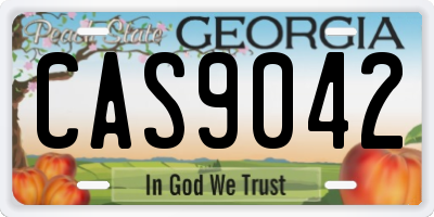 GA license plate CAS9042
