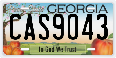 GA license plate CAS9043