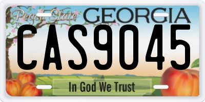 GA license plate CAS9045