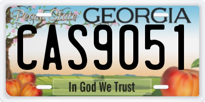 GA license plate CAS9051