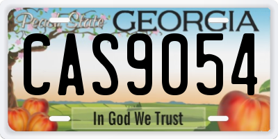 GA license plate CAS9054