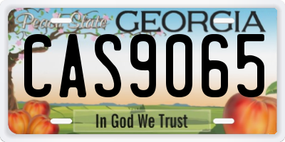 GA license plate CAS9065