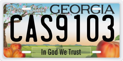 GA license plate CAS9103