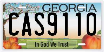 GA license plate CAS9110