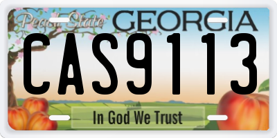 GA license plate CAS9113