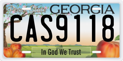 GA license plate CAS9118