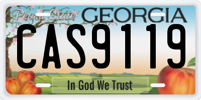 GA license plate CAS9119