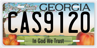 GA license plate CAS9120
