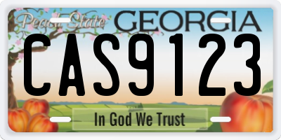 GA license plate CAS9123